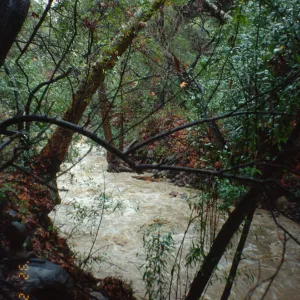 Mission Creek