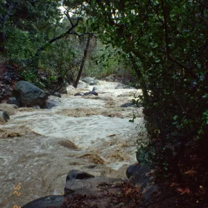 Mission Creek