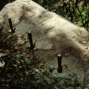 boulder removal above the Mission Dam