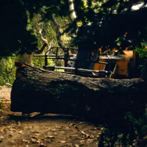 tree removal, tractor on Mission Dam