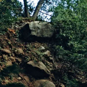 boulders on Mission Canyon slope