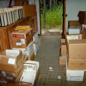 Office storage at SBBG