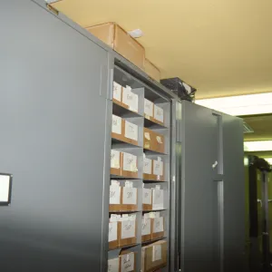 Lichen cabinet in the Herbarium
