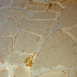 Stone floor in the Information Kiosk