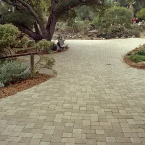 New pavered path at Garden Entrance, entrance oak