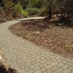 New pavered path in the Arroyo