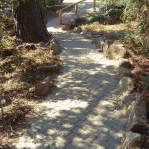New paver path in the Arroyo