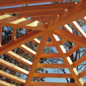 framework of new roof, Entrance Kiosk