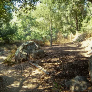 Site for new picnic area