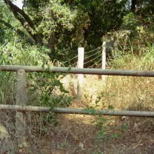 Site for new picnic area