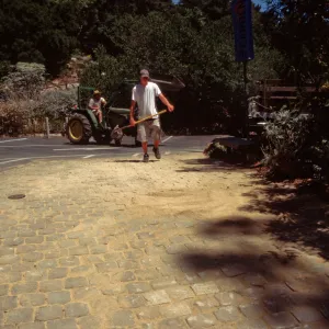 New pavered path at Garden Entrance