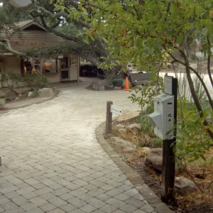 New pavered path at Garden Entrance, entrance oak
