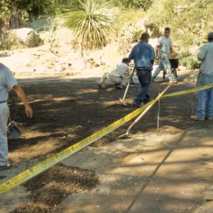 New pavered path at Garden Entrance