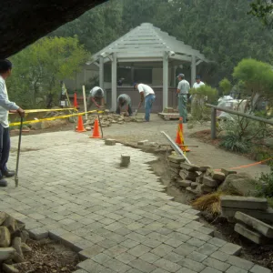 New pavered path at Garden Entrance, entrance oak
