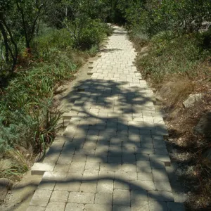 Paving the Arroyo Trail