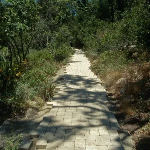 Paving the Arroyo Trail