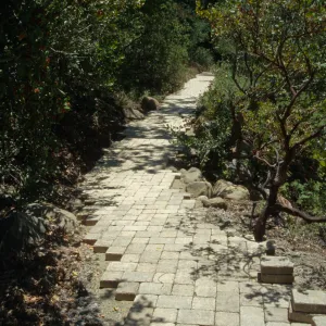 Paving the Arroyo Trail