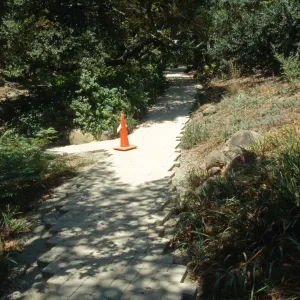 Paving the Arroyo Trail