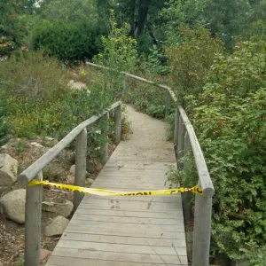Paving the Arroyo Trail, foot bridge