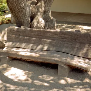 redwood bench under entrance oak, no pavers