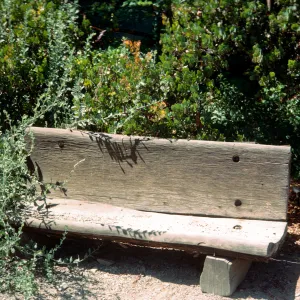 redwood bench on west side of Meadow, Meadow Oaks, Manzanita glauca