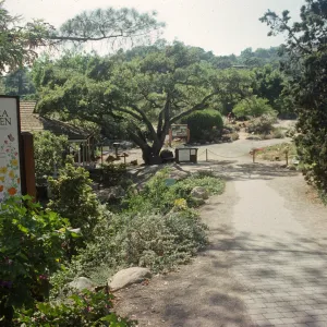 cobble stone path, Garden Entrance display, entrance sign, 1993