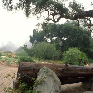 Railroad tie entrance, Entrance Display, wood bench under entrance oak, 1989, © Alan Weisskopf