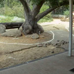 Reconstruction of entrance paths