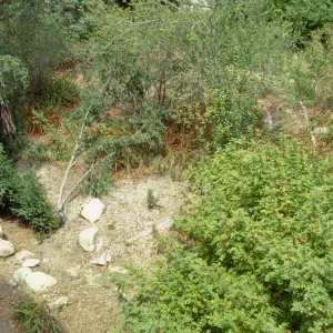 Entrance reconstruction