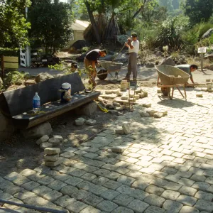 Path Paving