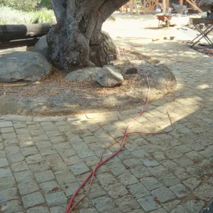 Path Paving