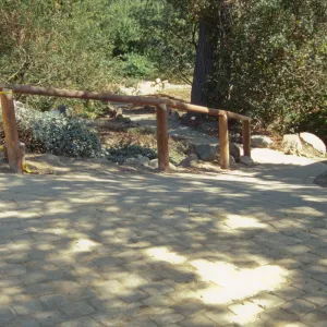 Path Paving