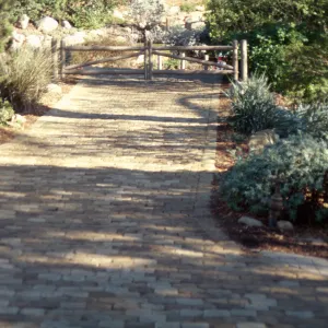 Path Paving