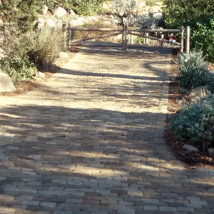 Path Paving