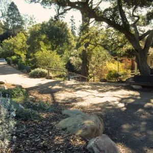 Path Paving
