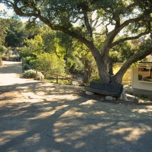 Path Paving