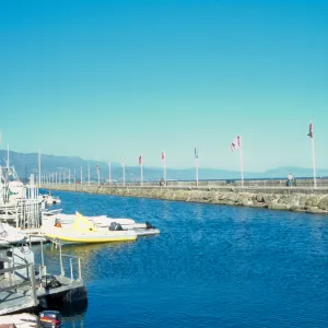 Avenue of Flags at Santa Barbara Harbor