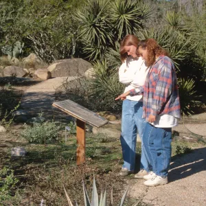 Visitors: Desert Section
