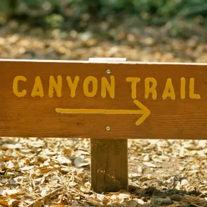 wood 'Canyon Trail' Sign