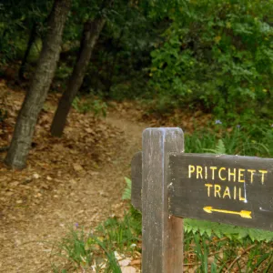 wood 'Pritchett Trail' Sign