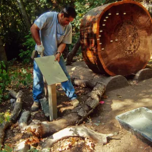 Redwood Cross-section, mounting the information panel