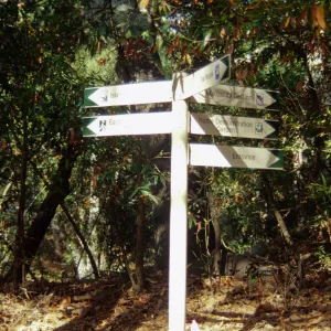 Directional signage 