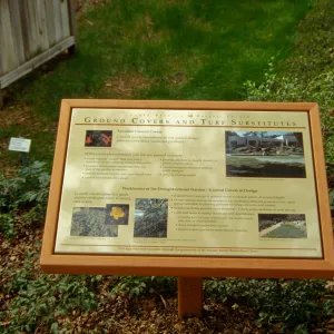 'Ground Covers and Turf Substitutes' Interpretive Panel, Home Demonstration Garden
