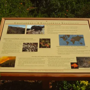 'Chaparral, A California Specialty' interpretive panel