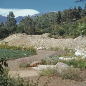 Meadow bank, before parking lot, 1940s