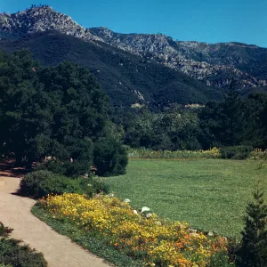 SBBG Strawberry Meadow, and path along the Meadow to the Meadow Oaks, La Cumbre Peak