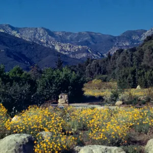 Sundial in the Meadow, mountain view
