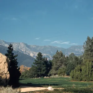 SBBG Meadow, Blaksley Boulder