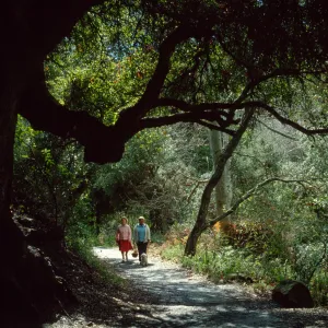 SBBG visitors walking their dog in the Canyon Section