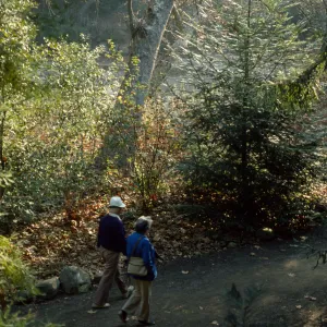 SBBG vistors walking on the Canyon Trail